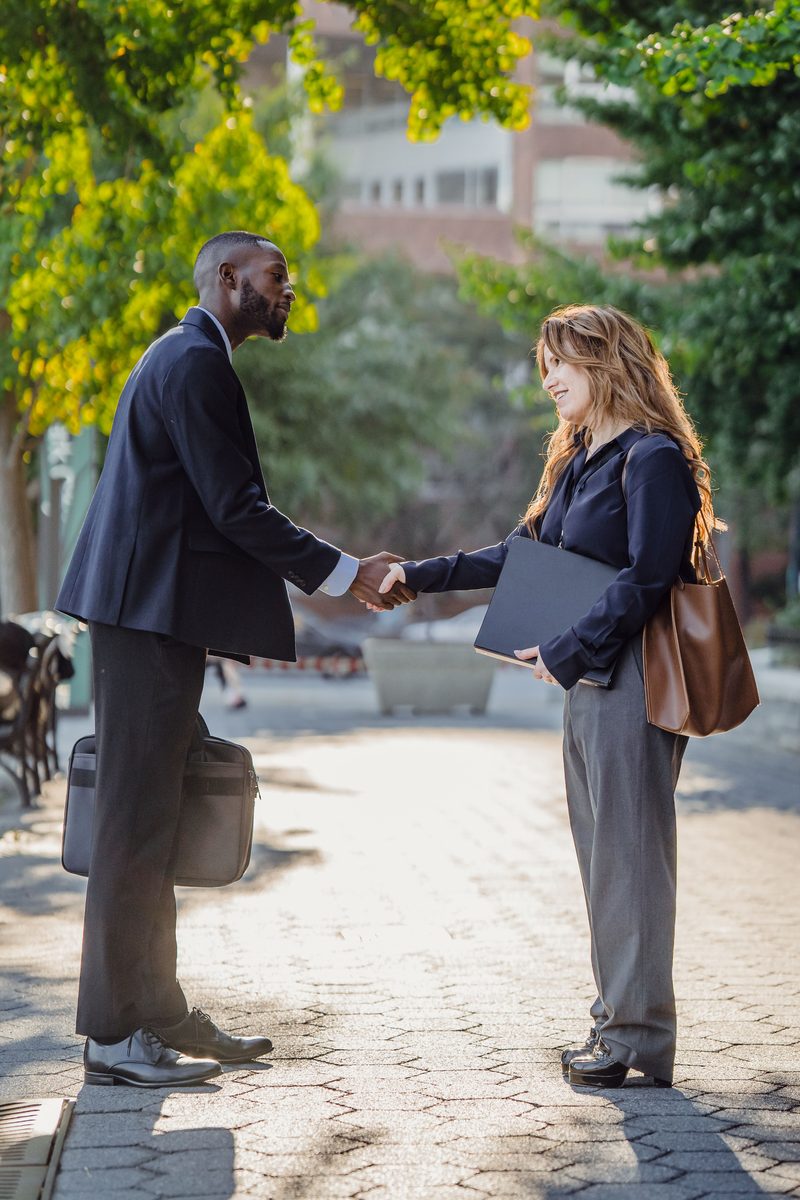 Two professionals shaking hands